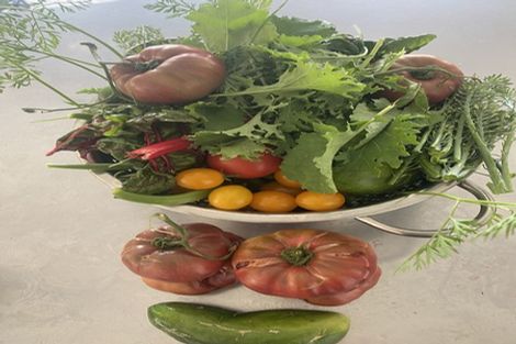 Photo of property in 175 Queensberry Terrace, Queensberry, Cromwell, 9383