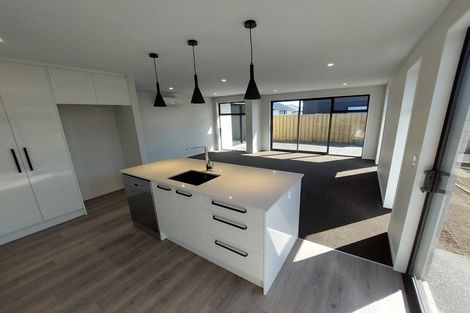 Photo of property in 17 Sarah Nicholls Street, Belfast, Christchurch, 8051