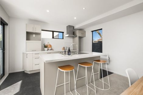 Photo of property in 19c Barrie Street, Addington, Christchurch, 8024