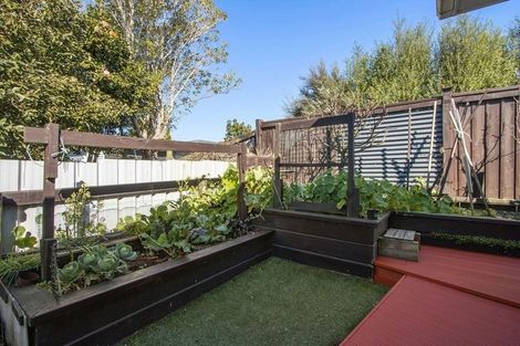 Photo of property in 24a Mackay Street, Waihi, 3610