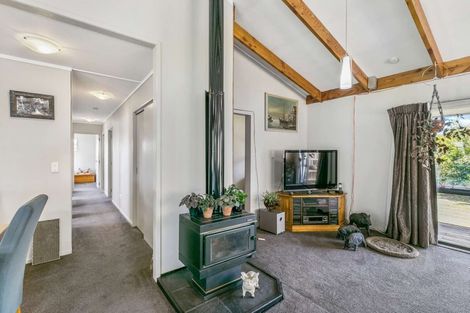Photo of property in 161 Hauraki Road, Orongo, Thames, 3574