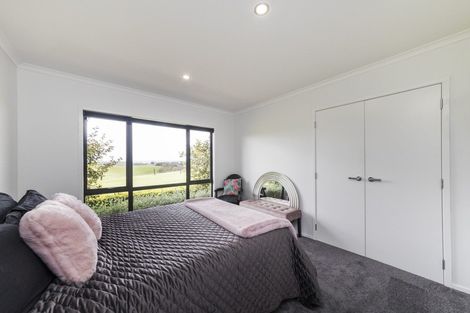 Photo of property in 317a Mount Biggs Road, Halcombe, Feilding, 4779
