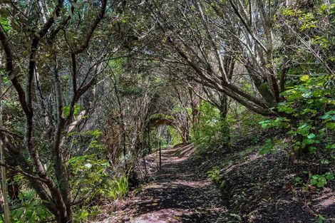 Photo of property in 248 Ohiwa Harbour Road, Waiotahe, Opotiki, 3198