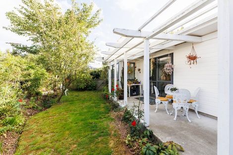 Photo of property in 101 Lincoln Street, Ashhurst, 4810