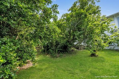 Photo of property in 8 Portland Street, Dargaville, 0310