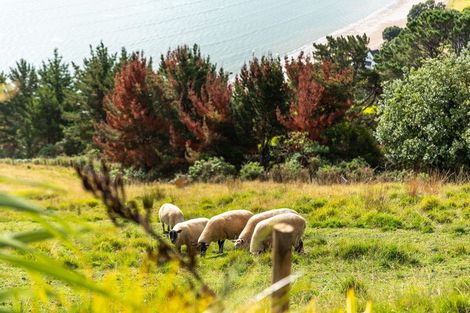 Photo of property in 25d Tapu Coroglen Road, Tapu, Thames, 3575