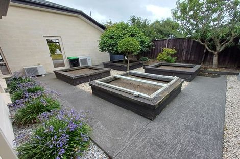 Photo of property in 11 Kawakawa Street, Pegasus, 7612