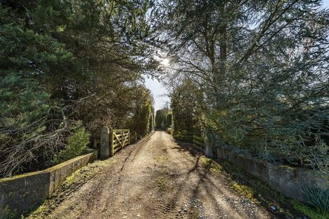 Photo of property in 320 Brookside & Irwell Road, Leeston, 7682