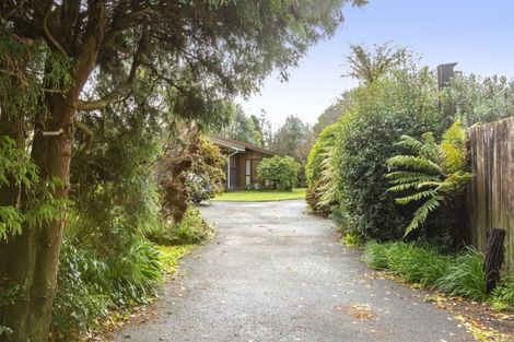 Photo of property in 49 Sheffield Street, Matamata, 3400