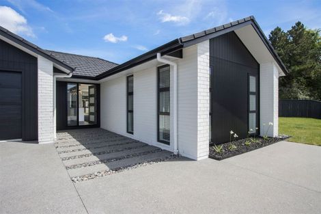 Photo of property in 9 Mural Drive, Katikati, 3129