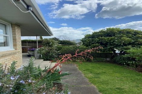 Photo of property in 70b Campbell Road, Mount Maunganui, 3116