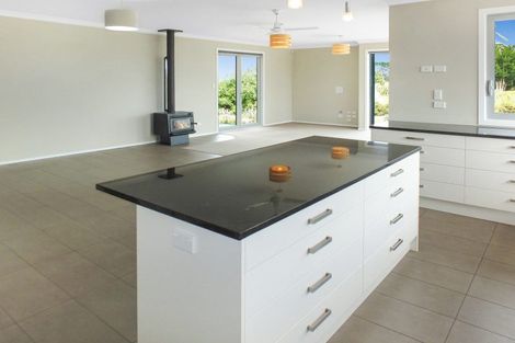 Photo of property in 90 Bergin Road, Foxton, 4814