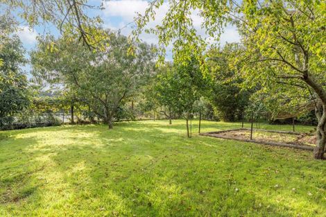 Photo of property in 107 Horrell Road, Morrinsville, 3374