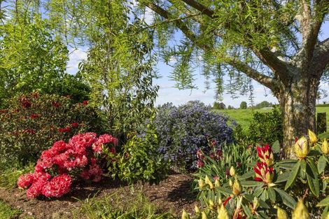 Photo of property in 488 Ryburn Road, Ohaupo, 3883