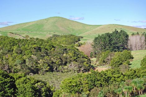 Photo of property in 16 Barnfield Road, Kaiwaka, 0573