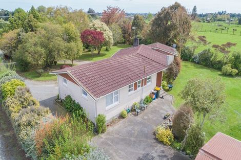 Photo of property in 133 Gladstone Road, Levin, 5571