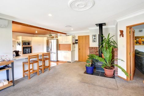 Photo of property in 41 Lynas Street, Outram, 9019