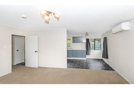 Photo of property in 432a Kahikatea Drive, Dinsdale, Hamilton, 3204