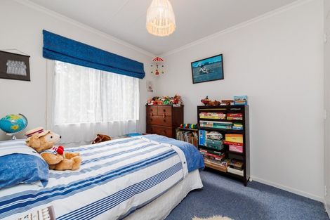 Photo of property in 101 Lincoln Street, Ashhurst, 4810