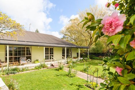 Photo of property in 185 Oxford Street, Ashhurst, 4810