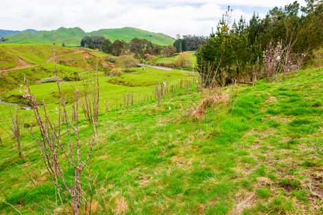 Photo of property in 4 Terrace Street, Matawai, 4075