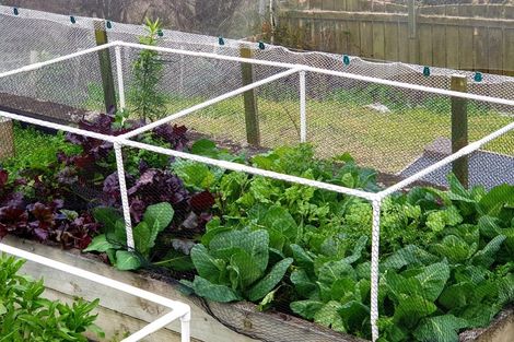 Photo of property in 17 Harbour Lights Terrace, Whitianga, 3592