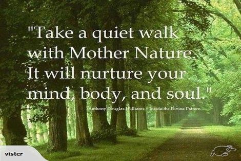 Photo of property in 91 Western Valley Road, Little River, 7591