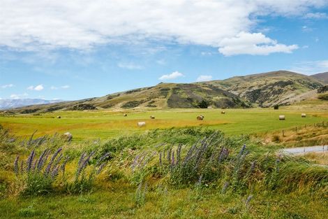 Photo of property in 138 Ruffell Road, Tarras, Cromwell, 9383