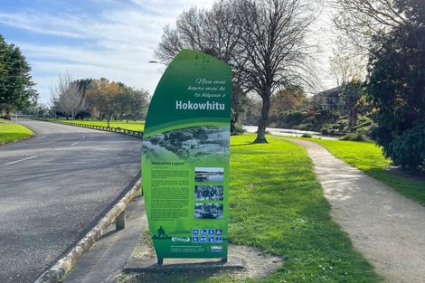 Photo of property in 43 Ashford Avenue, Hokowhitu, Palmerston North, 4410