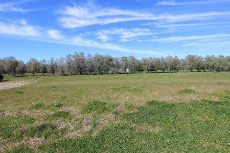 Photo of property in 17 Catalina Crescent, Forrest Hill, Auckland, 0620