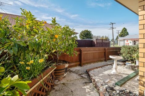 Photo of property in 38a Redwood Street, Blenheim, 7201