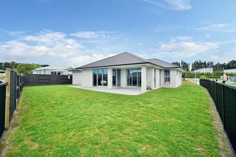 Photo of property in 70 Tynan Street, Te Puke, 3119