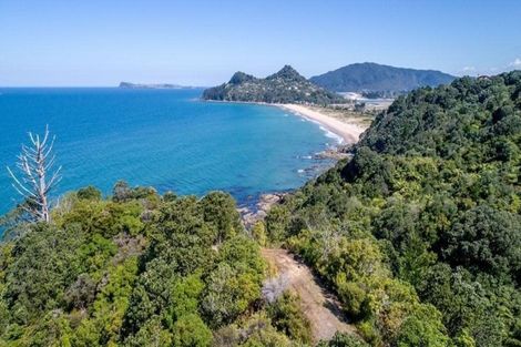 Photo of property in 160 Pumpkin Hill Road, Pumpkin Hill, Whitianga, 3591