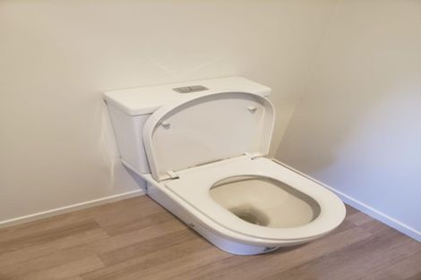 Photo of property in 48d Helena Road, Hillcrest, Hamilton, 3216