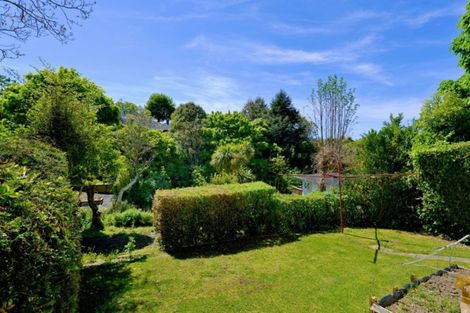 Photo of property in 45 Pacific Street, Roslyn, Dunedin, 9010