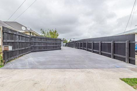 Photo of property in 202a Bath Street, Levin, 5510