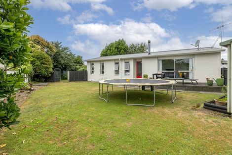 Photo of property in 6 Windsor Place, Levin, 5510