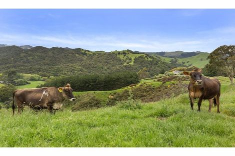 Photo of property in 69c Otonga Valley Road, Raglan, 3295