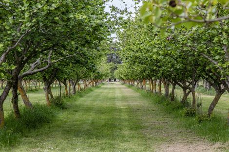 Photo of property in 190 Amberley Beach Road, Amberley, 7481