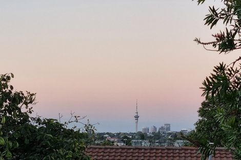 Photo of property in 424b Mount Albert Road, Mount Roskill, Auckland, 1041