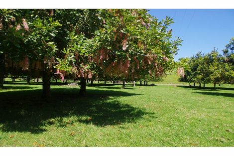 Photo of property in 27 Motutoa Road, Opononi, Kaikohe, 0473