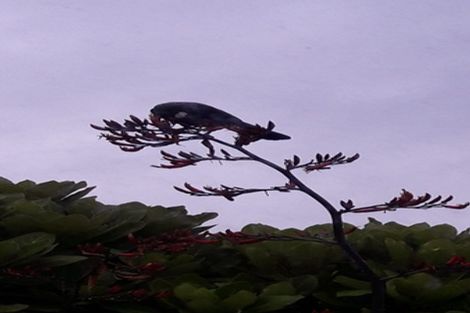 Photo of property in 38 Esk Street, Parkvale, Tauranga, 3112