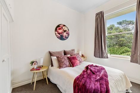 Photo of property in 12 Finlay Terrace, Mount Cook, Wellington, 6021