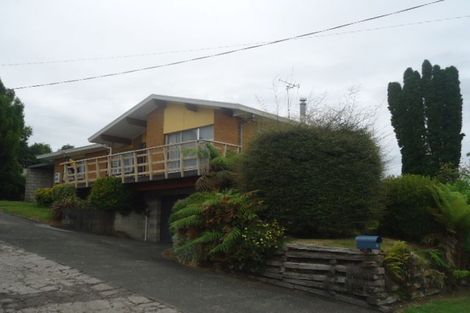 Photo of property in 111 Arapuni Street, Putaruru, 3411