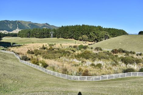 Photo of property in 207 Te Hapua Road, Te Horo, Otaki, 5581