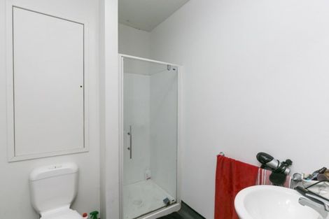 Photo of property in Hanson House, 27ua Hanson Street, Mount Cook, Wellington, 6021