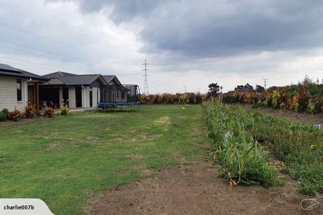 Photo of property in 1217 Glenbrook Road, Glenbrook, Waiuku, 2681