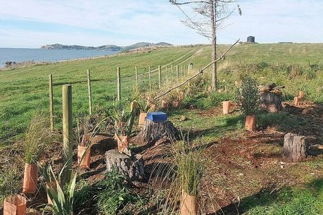 Photo of property in 10 Stafford Street, Hampden, 9410