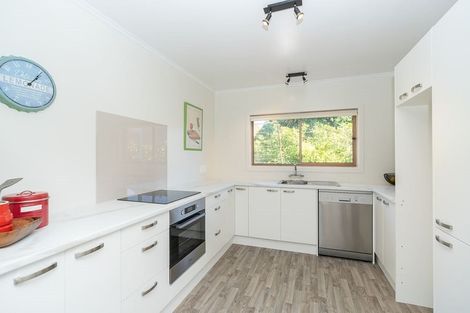 Photo of property in 24 Forest Lake Road, Forest Lake, Hamilton, 3200