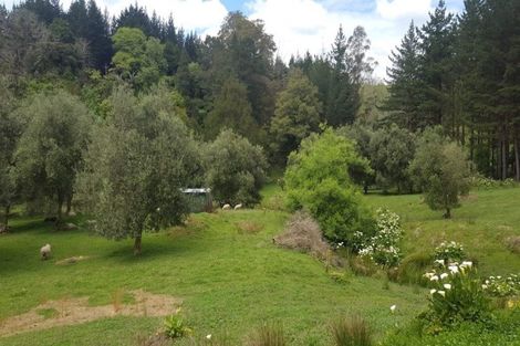 Photo of property in 217 Taumatatahi Road, Ngamatapouri, Wanganui, 4588